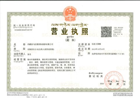 营业执照 / Business License